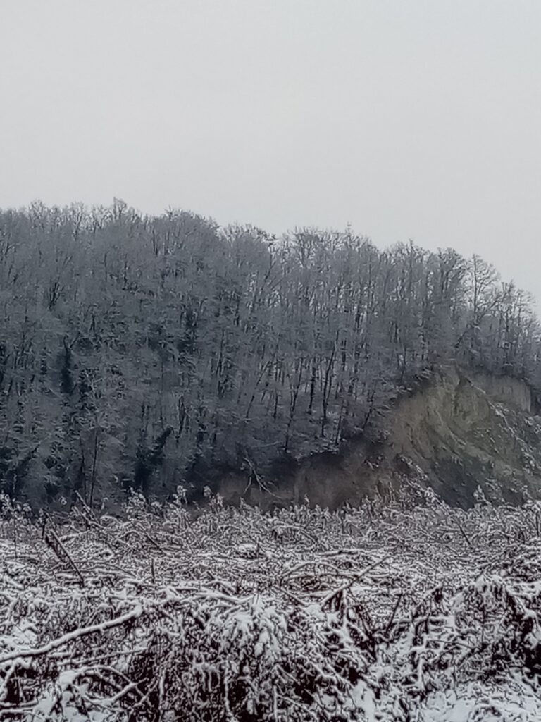 bosco, Rocca del Campione, neve